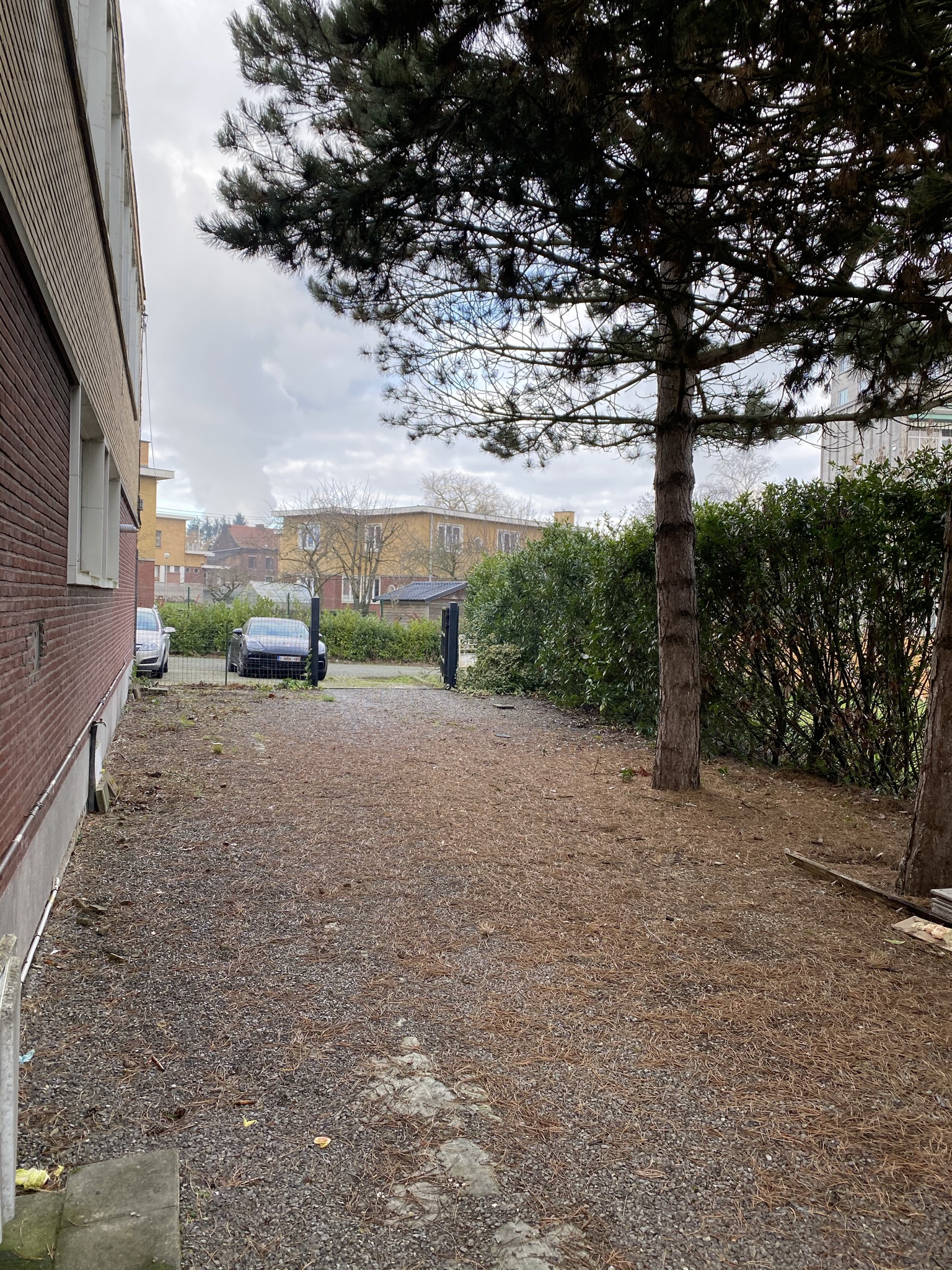 Image 16